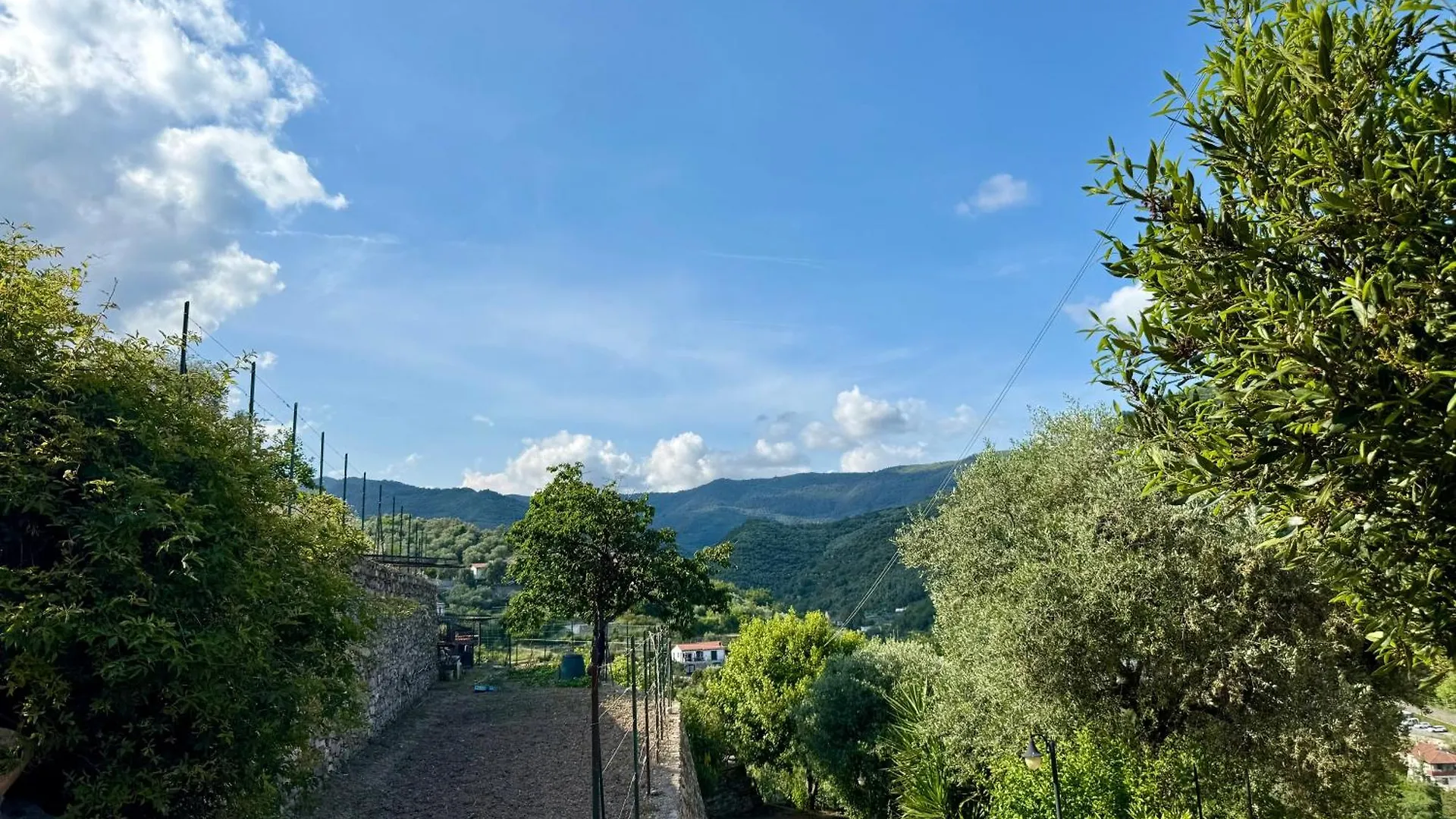 Olivo Al Mare - By Host4U Apartment Dolcedo